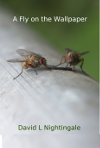 fly